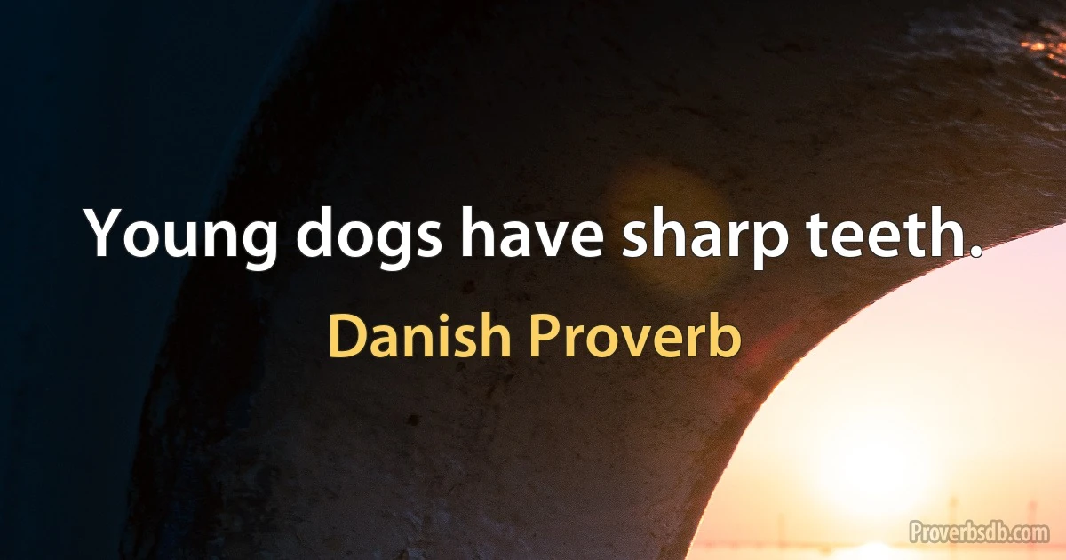 Young dogs have sharp teeth. (Danish Proverb)