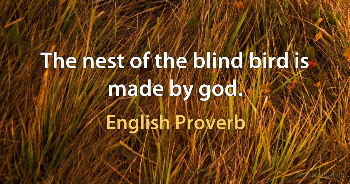 The nest of the blind bird is made by god. (English Proverb)