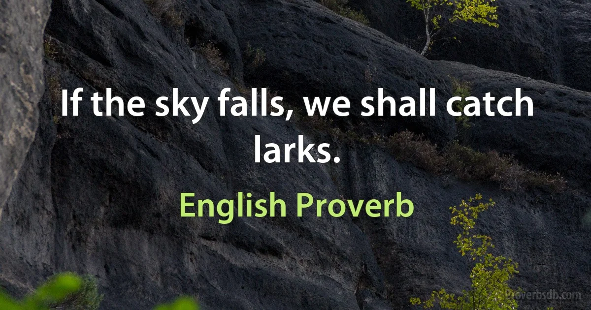 If the sky falls, we shall catch larks. (English Proverb)