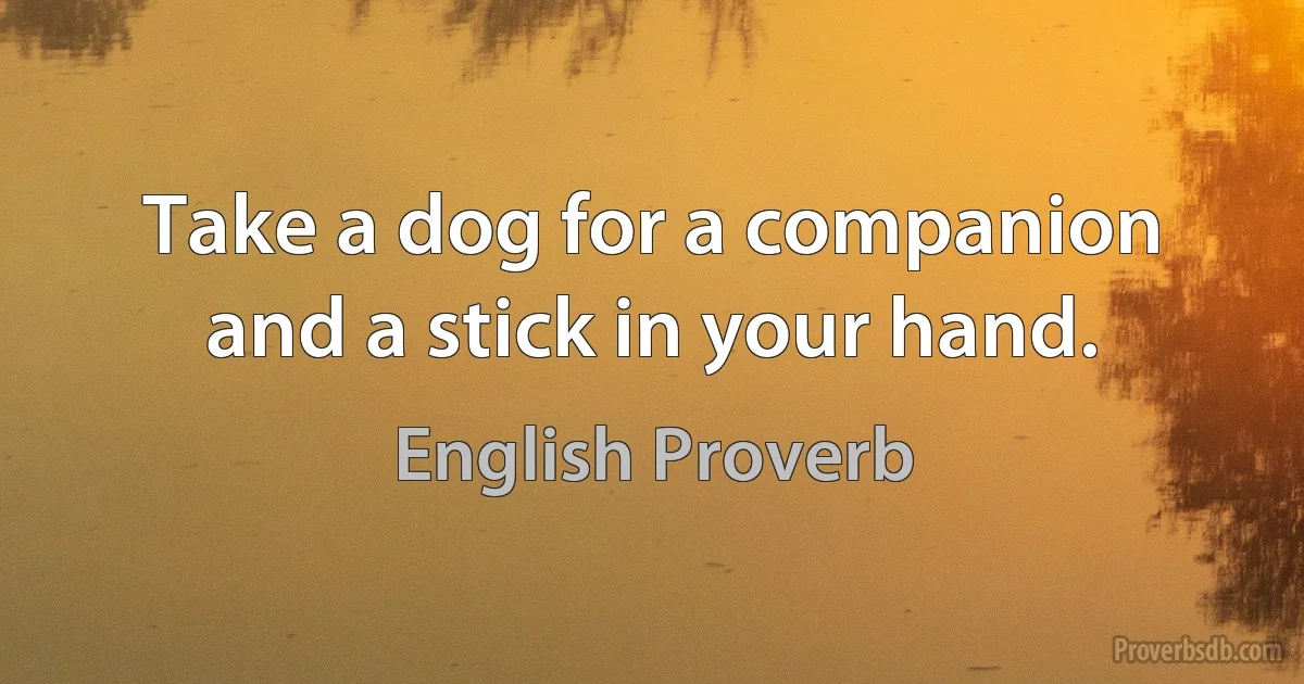 Take a dog for a companion and a stick in your hand. (English Proverb)