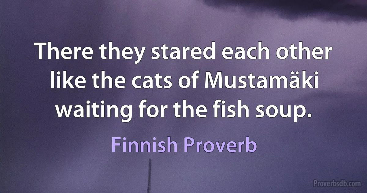 There they stared each other like the cats of Mustamäki waiting for the fish soup. (Finnish Proverb)