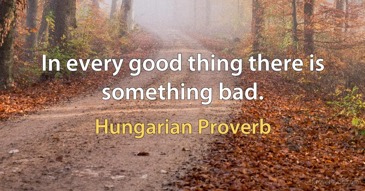 In every good thing there is something bad. (Hungarian Proverb)