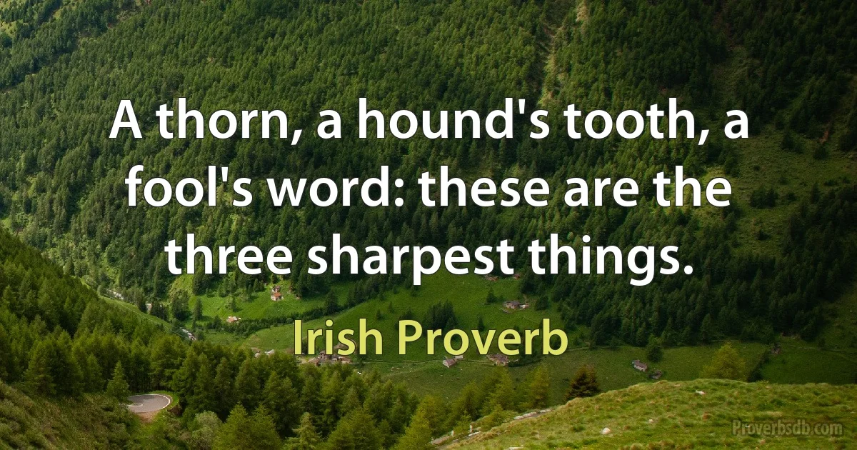 A thorn, a hound's tooth, a fool's word: these are the three sharpest things. (Irish Proverb)