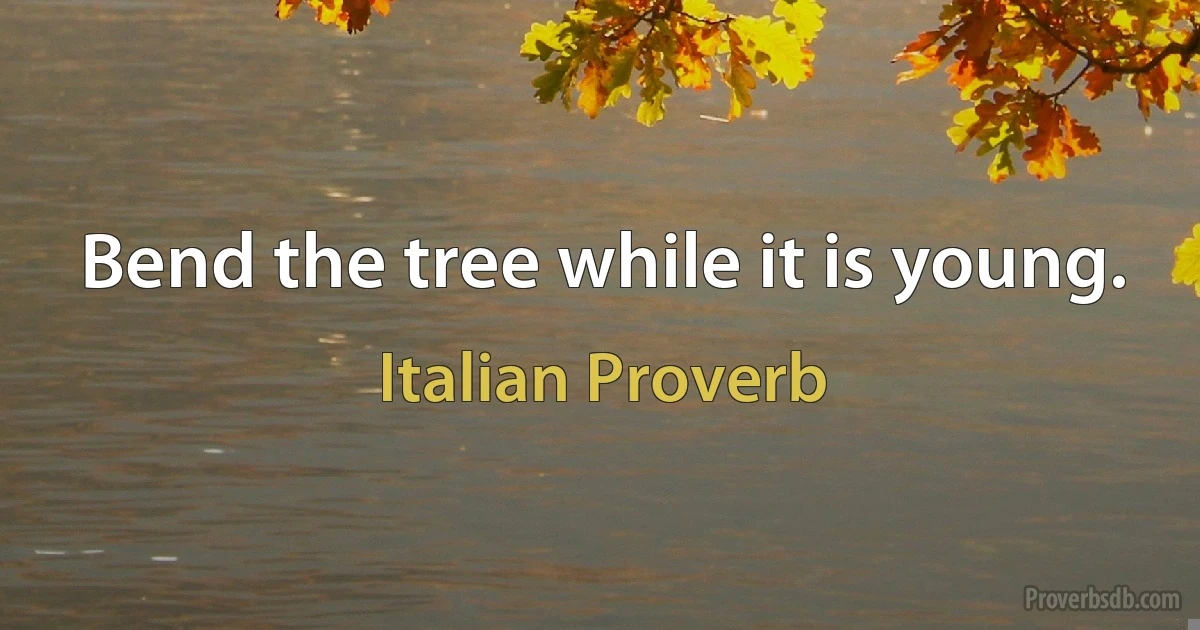 Bend the tree while it is young. (Italian Proverb)