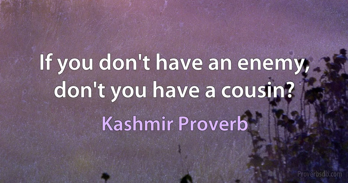 If you don't have an enemy, don't you have a cousin? (Kashmir Proverb)