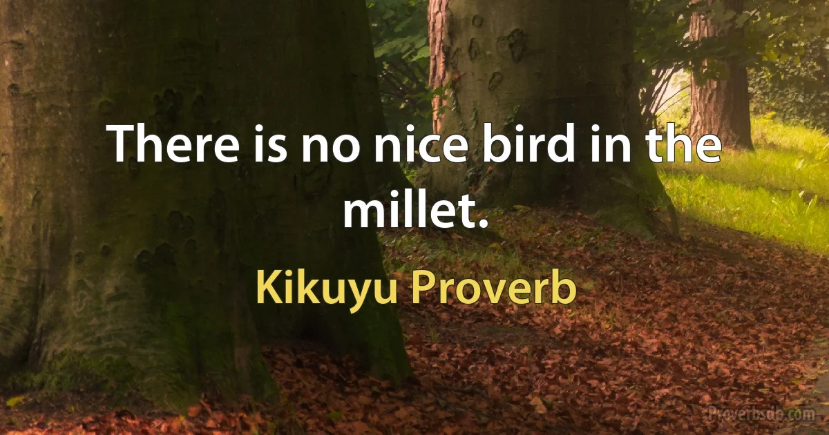 There is no nice bird in the millet. (Kikuyu Proverb)