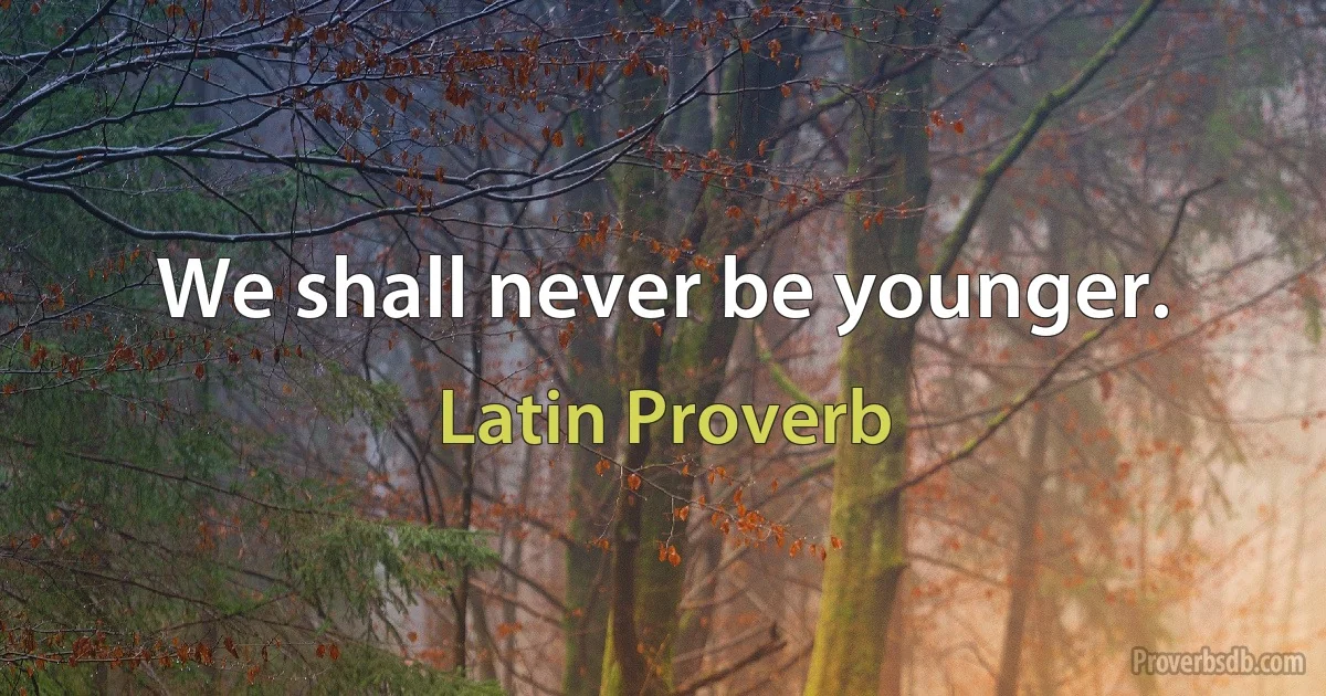 We shall never be younger. (Latin Proverb)