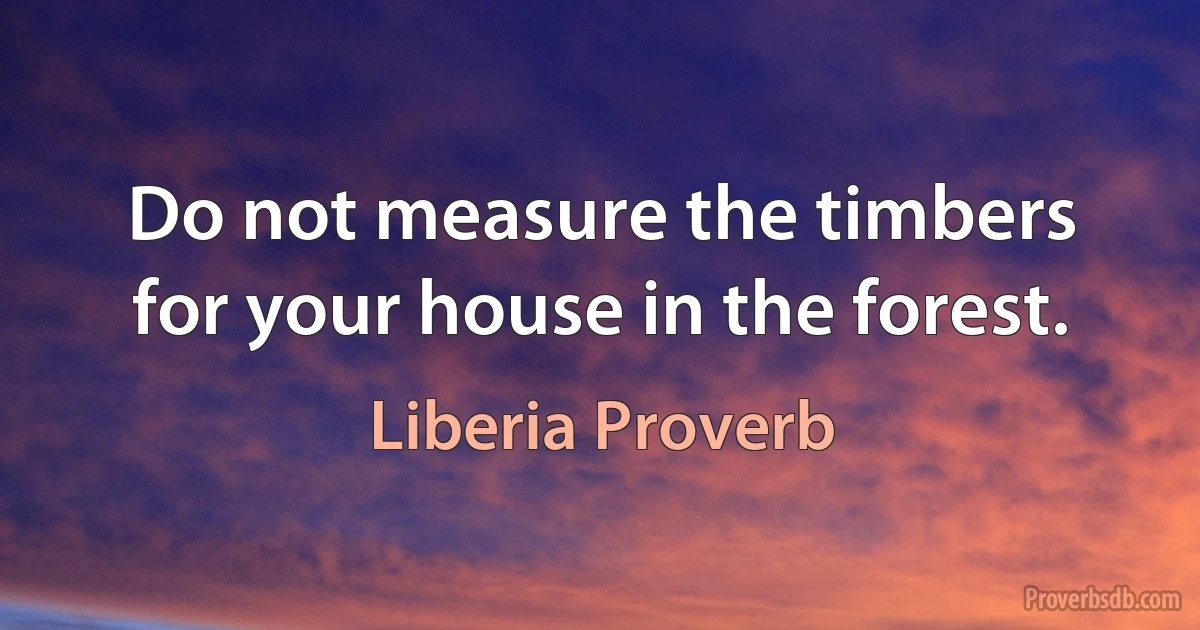 Do not measure the timbers for your house in the forest. (Liberia Proverb)