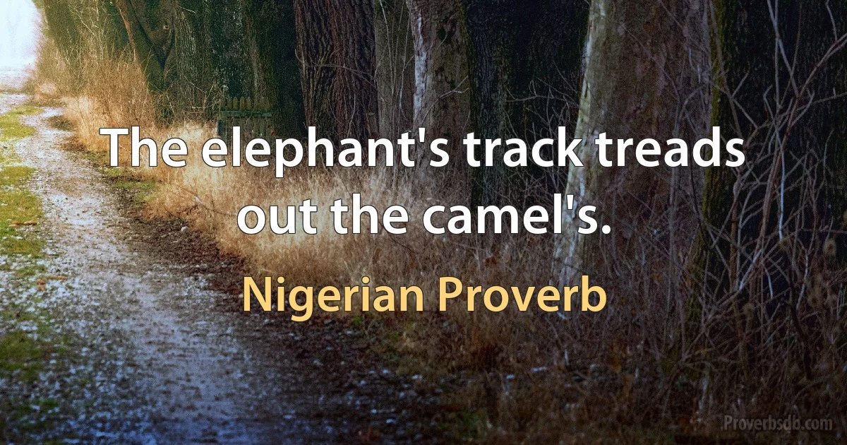 The elephant's track treads out the camel's. (Nigerian Proverb)