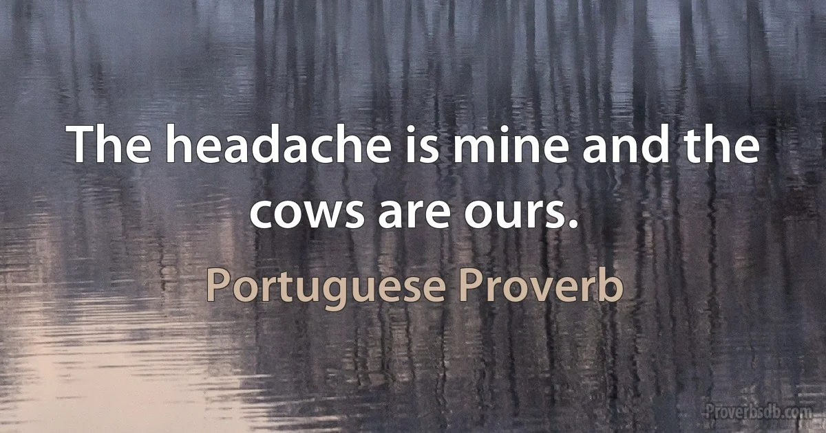 The headache is mine and the cows are ours. (Portuguese Proverb)