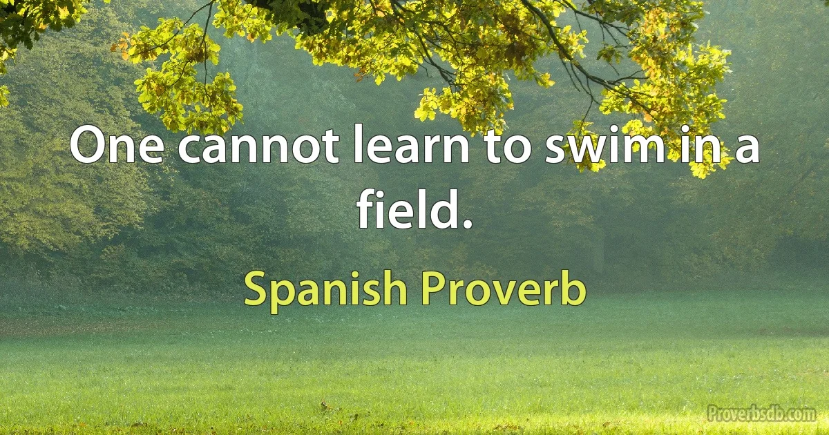 One cannot learn to swim in a field. (Spanish Proverb)