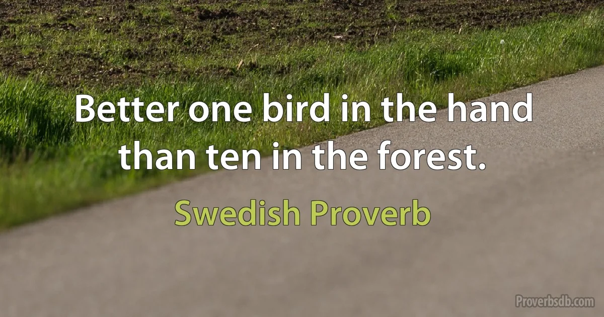 Better one bird in the hand than ten in the forest. (Swedish Proverb)