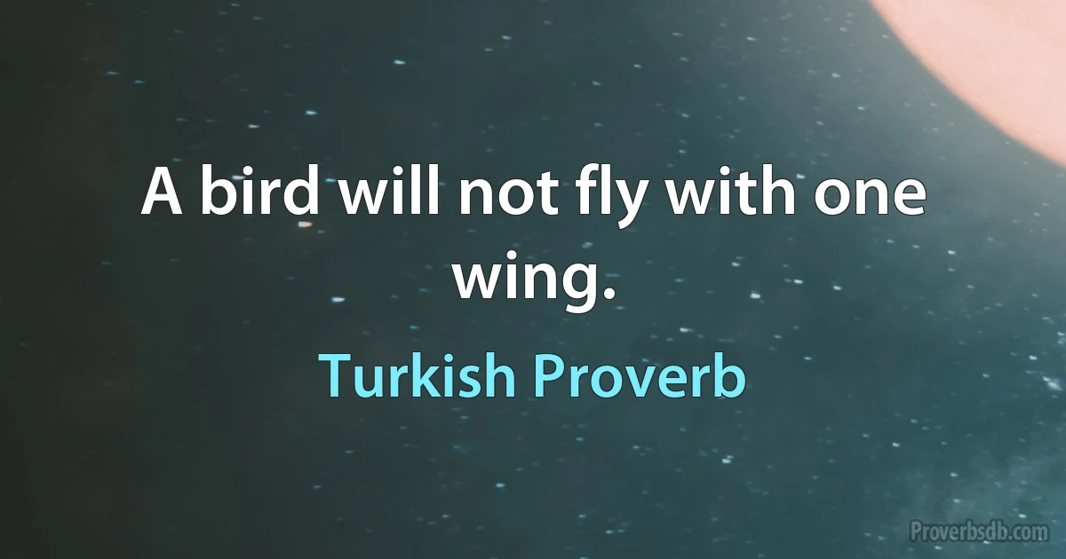 A bird will not fly with one wing. (Turkish Proverb)