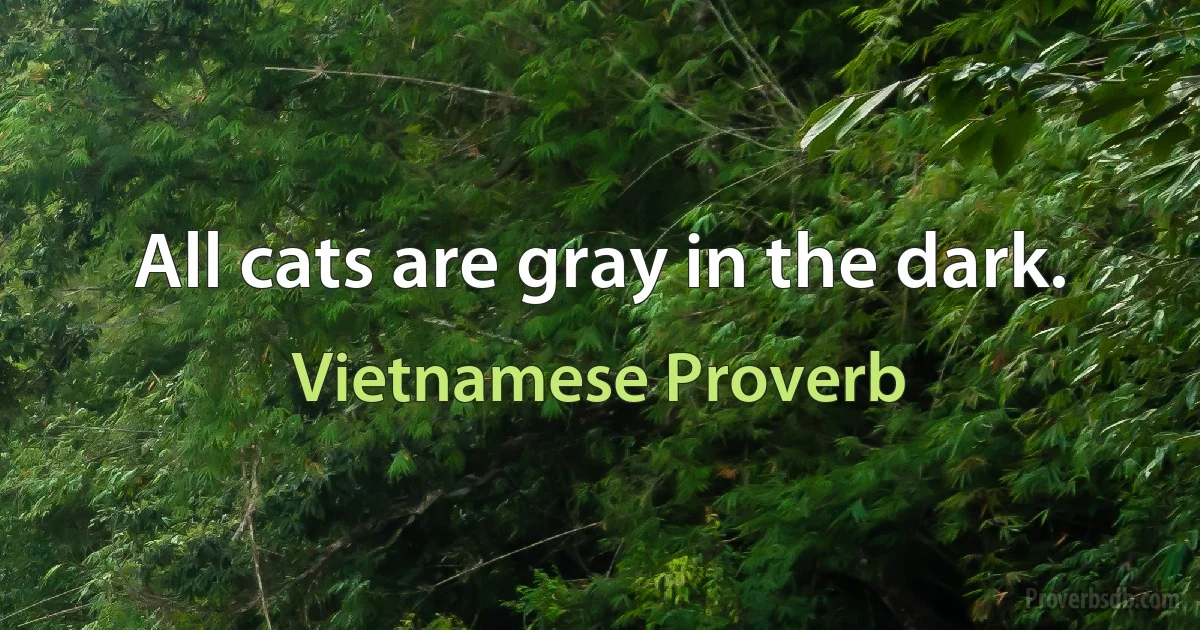 All cats are gray in the dark. (Vietnamese Proverb)