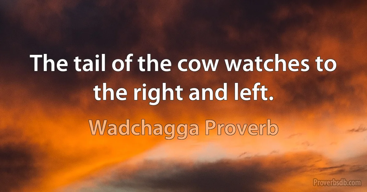 The tail of the cow watches to the right and left. (Wadchagga Proverb)