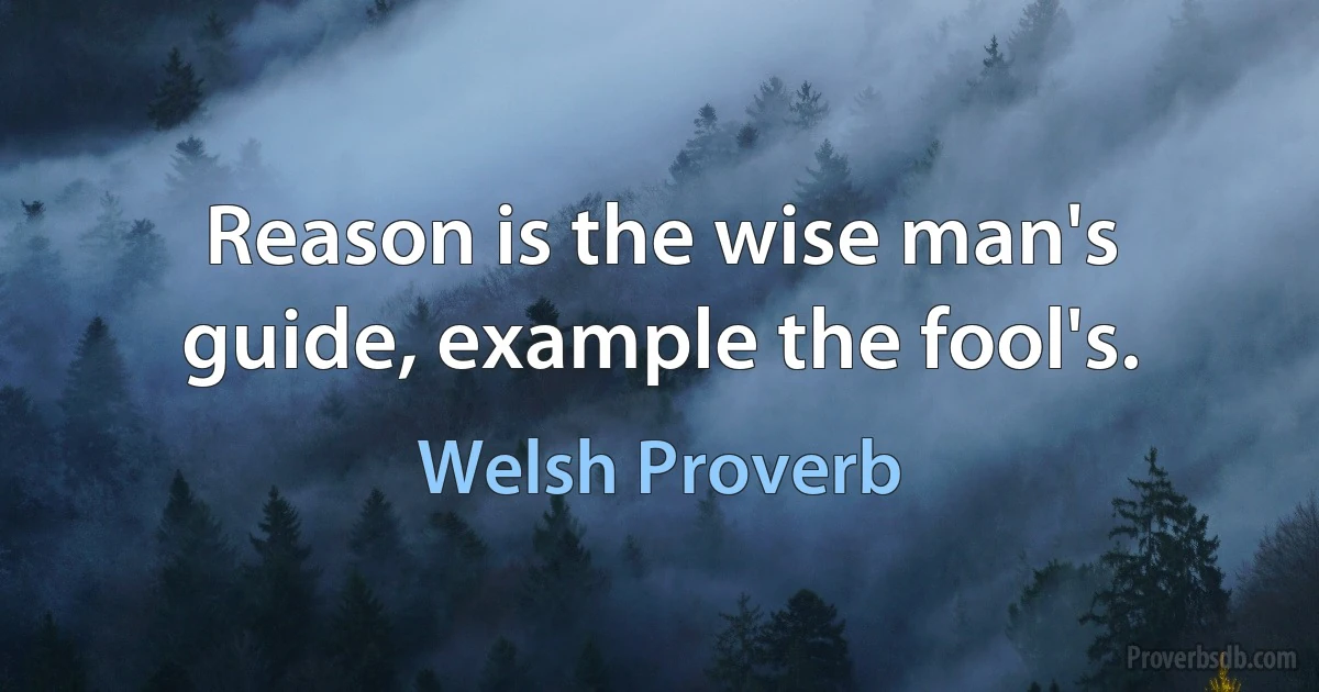 Reason is the wise man's guide, example the fool's. (Welsh Proverb)