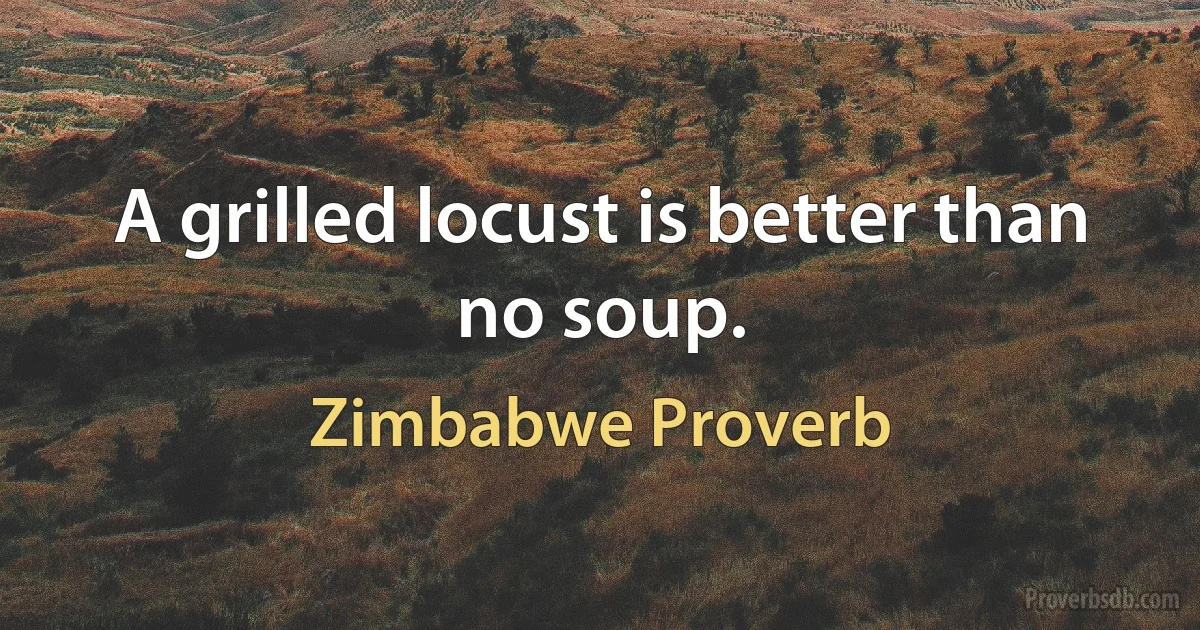 A grilled locust is better than no soup. (Zimbabwe Proverb)