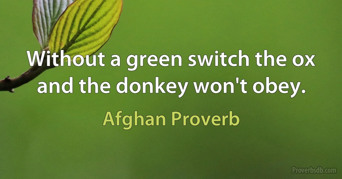 Without a green switch the ox and the donkey won't obey. (Afghan Proverb)