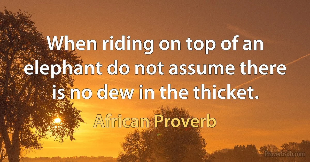 When riding on top of an elephant do not assume there is no dew in the thicket. (African Proverb)