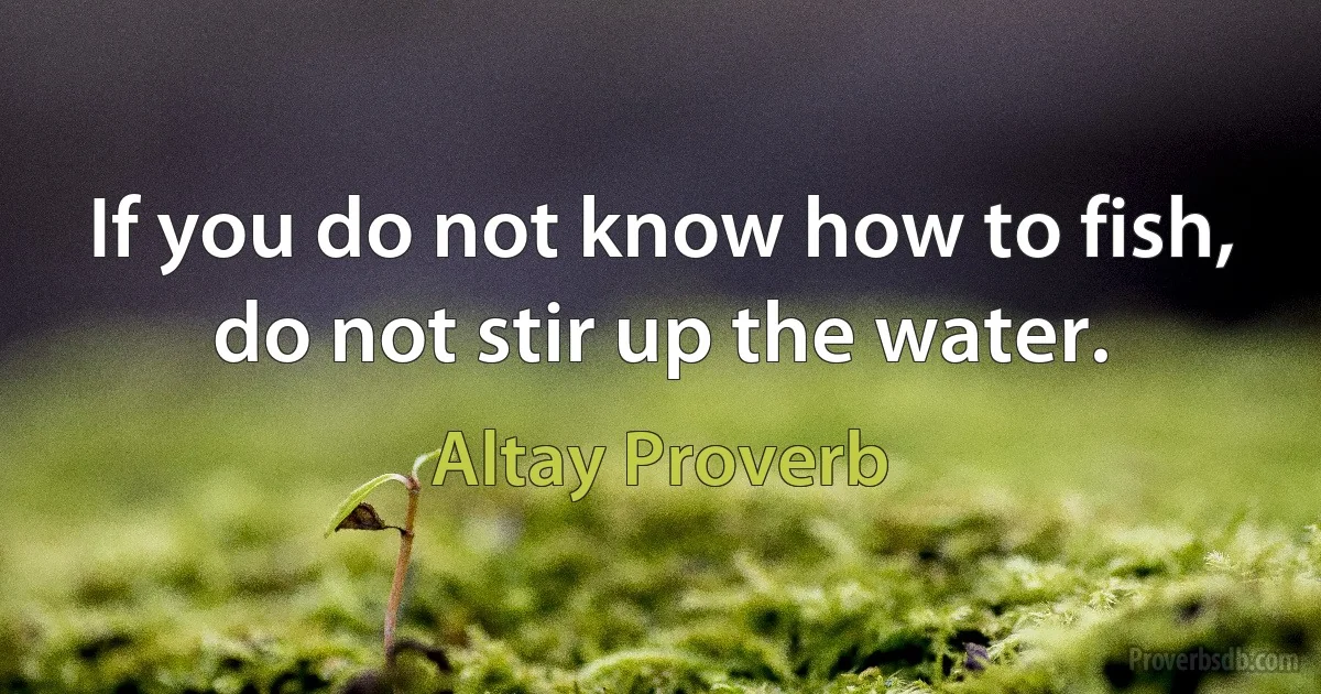 If you do not know how to fish, do not stir up the water. (Altay Proverb)