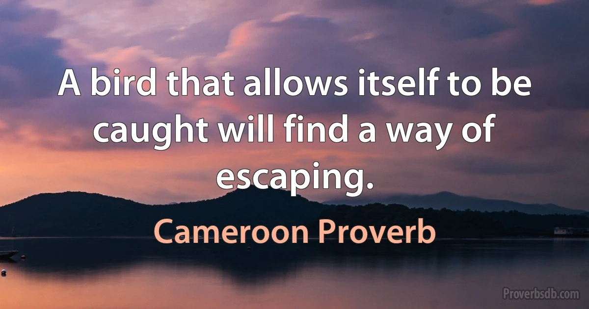 A bird that allows itself to be caught will find a way of escaping. (Cameroon Proverb)