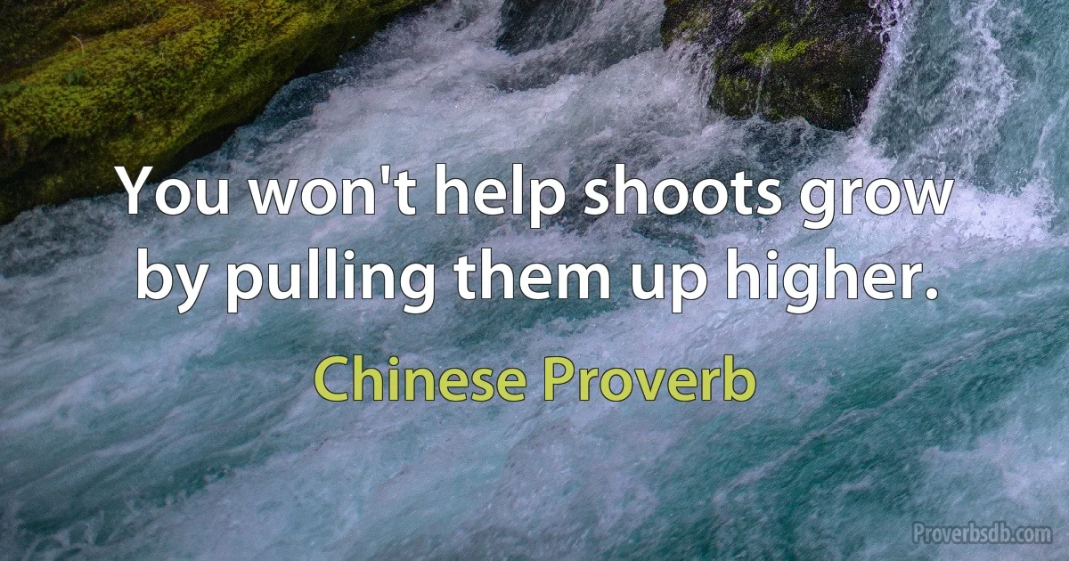 You won't help shoots grow by pulling them up higher. (Chinese Proverb)