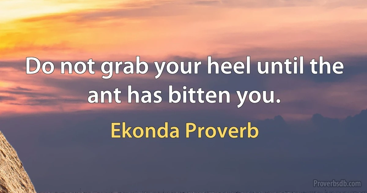 Do not grab your heel until the ant has bitten you. (Ekonda Proverb)