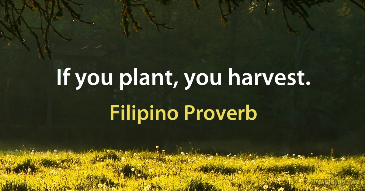 If you plant, you harvest. (Filipino Proverb)