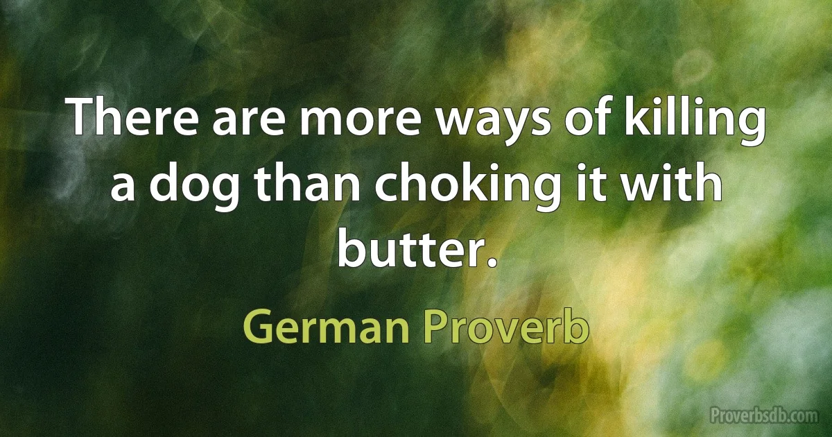 There are more ways of killing a dog than choking it with butter. (German Proverb)