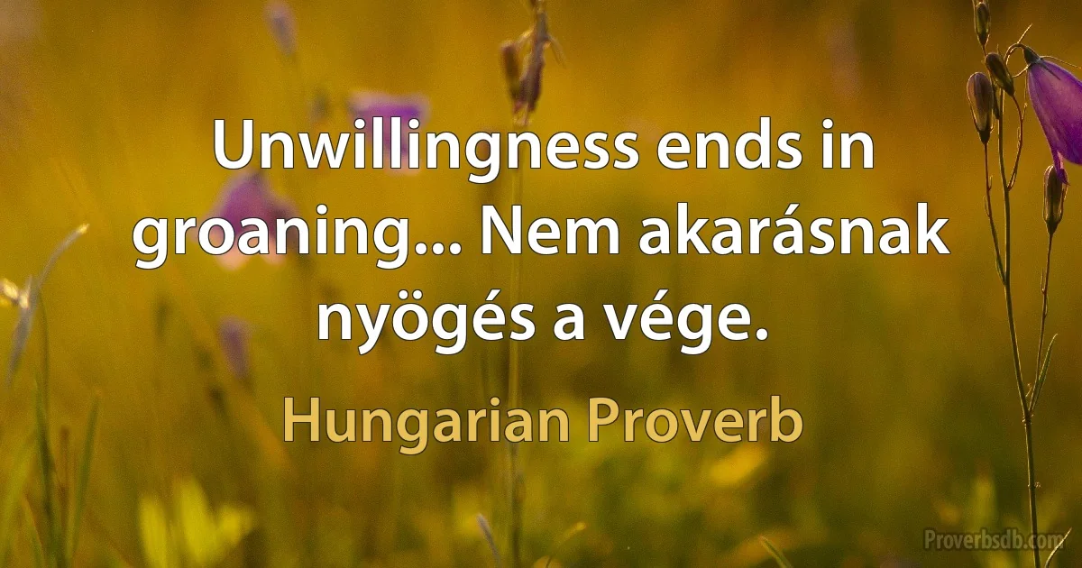 Unwillingness ends in groaning... Nem akarásnak nyögés a vége. (Hungarian Proverb)