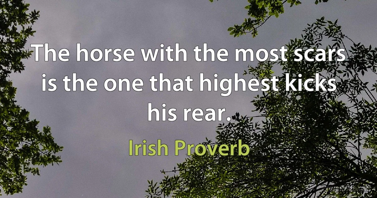 The horse with the most scars is the one that highest kicks his rear. (Irish Proverb)