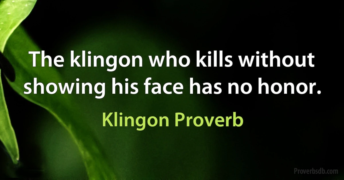 The klingon who kills without showing his face has no honor. (Klingon Proverb)