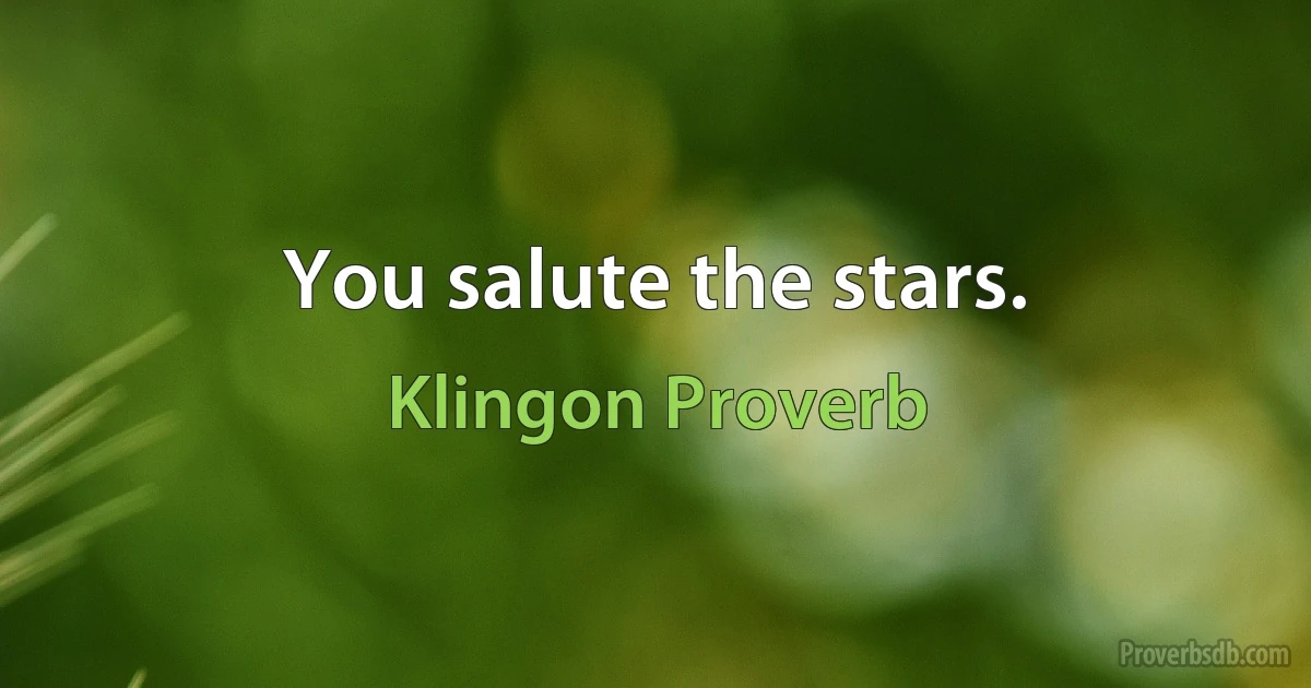 You salute the stars. (Klingon Proverb)