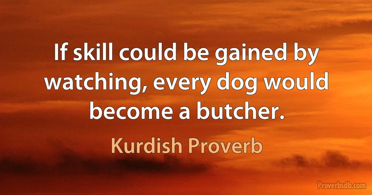 If skill could be gained by watching, every dog would become a butcher. (Kurdish Proverb)