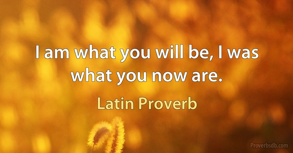 I am what you will be, I was what you now are. (Latin Proverb)