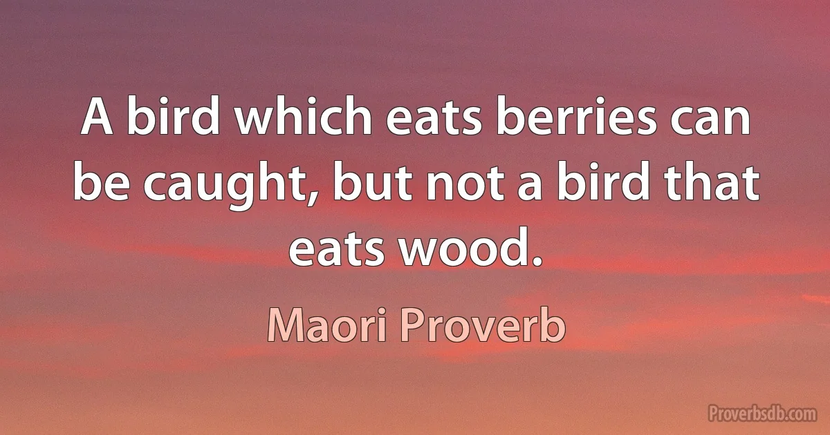 A bird which eats berries can be caught, but not a bird that eats wood. (Maori Proverb)