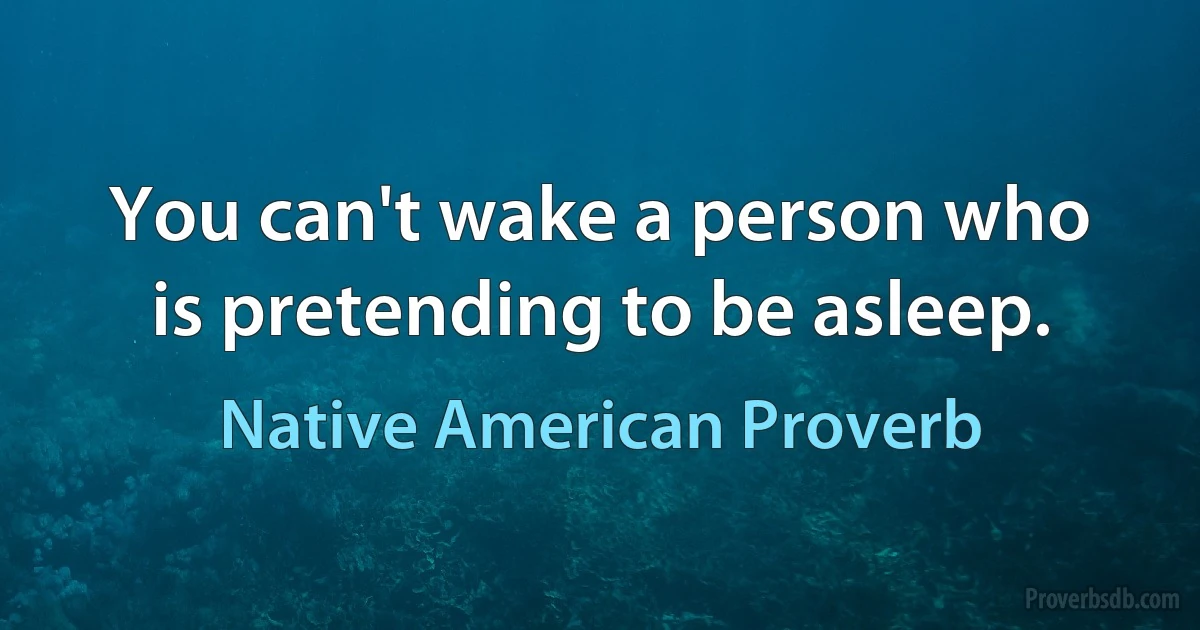 You can't wake a person who is pretending to be asleep. (Native American Proverb)