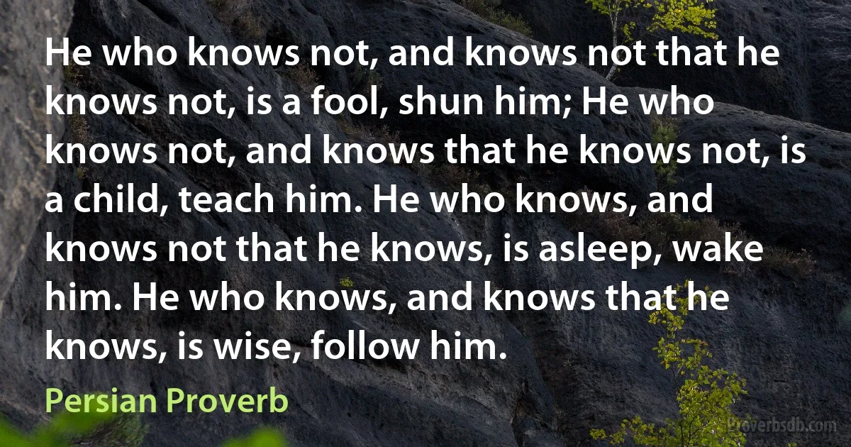 He who knows not, and knows not that he knows not, is a fool, shun him; He who knows not, and knows that he knows not, is a child, teach him. He who knows, and knows not that he knows, is asleep, wake him. He who knows, and knows that he knows, is wise, follow him. (Persian Proverb)