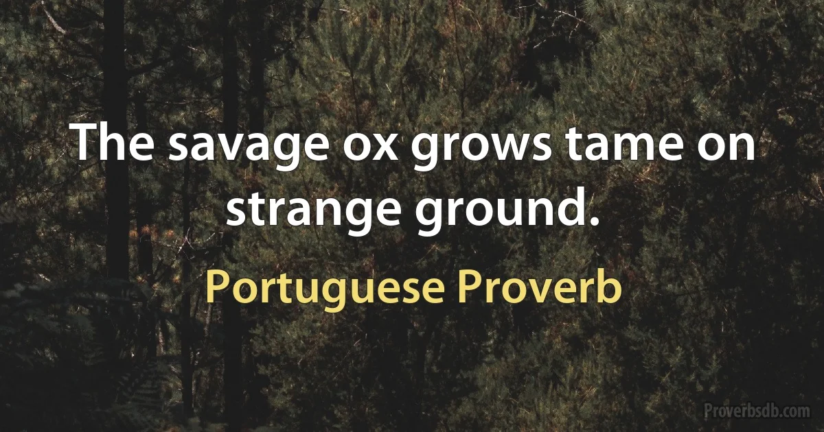 The savage ox grows tame on strange ground. (Portuguese Proverb)