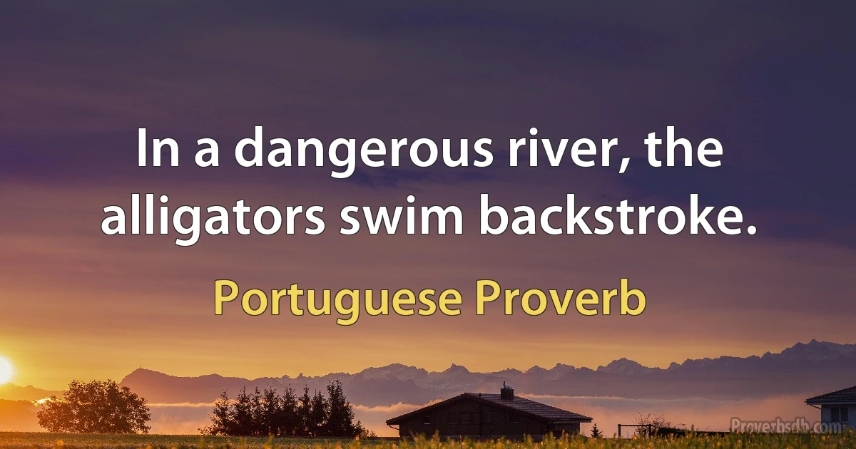 In a dangerous river, the alligators swim backstroke. (Portuguese Proverb)