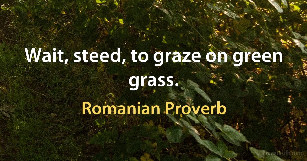 Wait, steed, to graze on green grass. (Romanian Proverb)