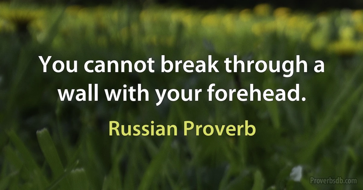 You cannot break through a wall with your forehead. (Russian Proverb)