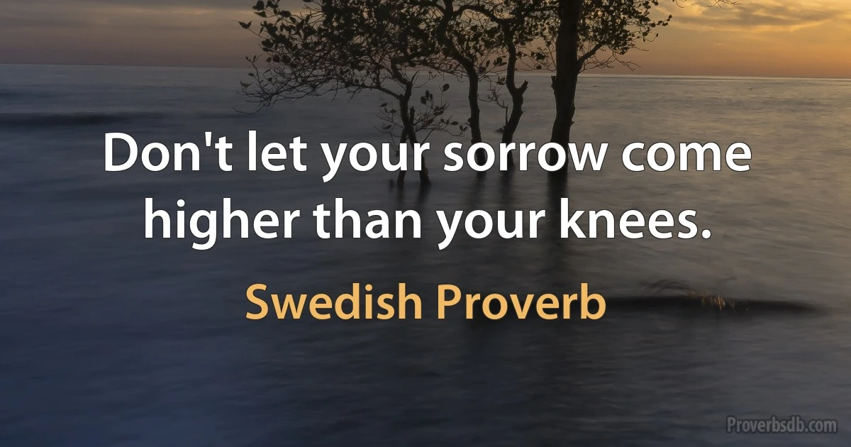 Don't let your sorrow come higher than your knees. (Swedish Proverb)