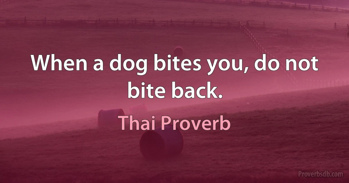 When a dog bites you, do not bite back. (Thai Proverb)