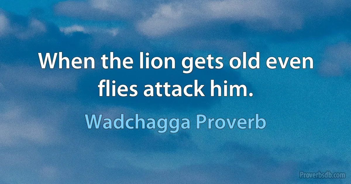 When the lion gets old even flies attack him. (Wadchagga Proverb)