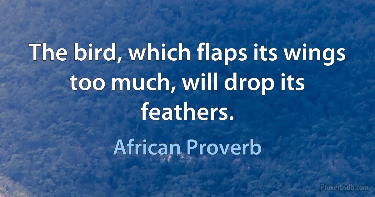 The bird, which flaps its wings too much, will drop its feathers. (African Proverb)