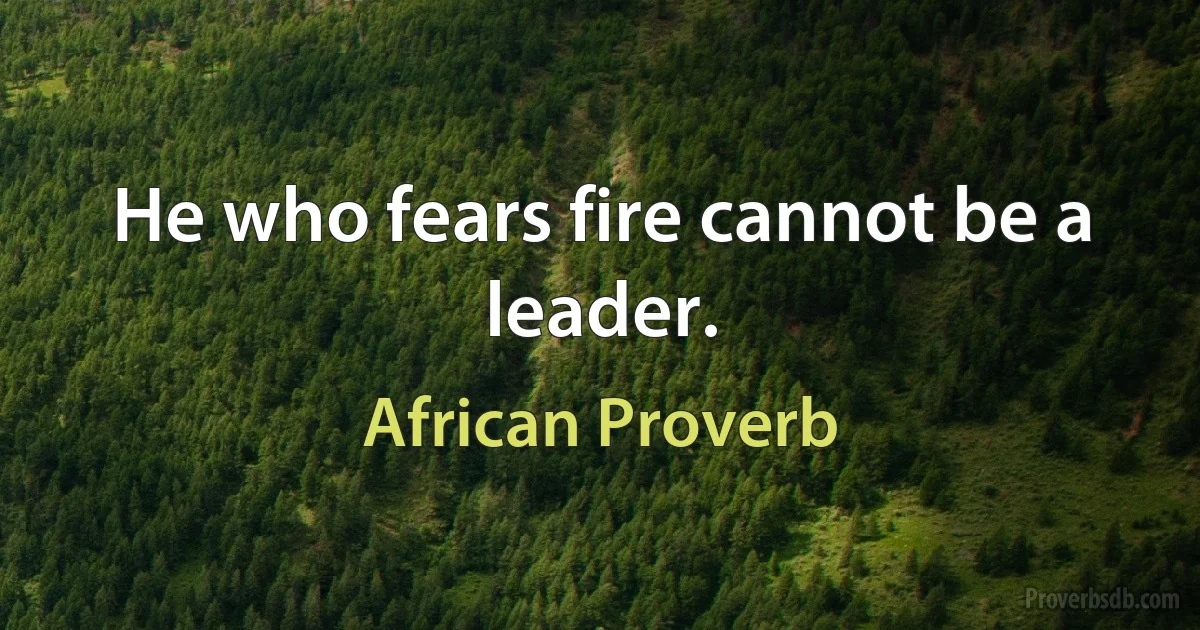 He who fears fire cannot be a leader. (African Proverb)