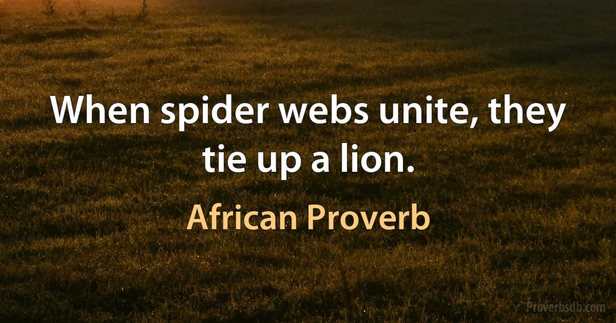 When spider webs unite, they tie up a lion. (African Proverb)