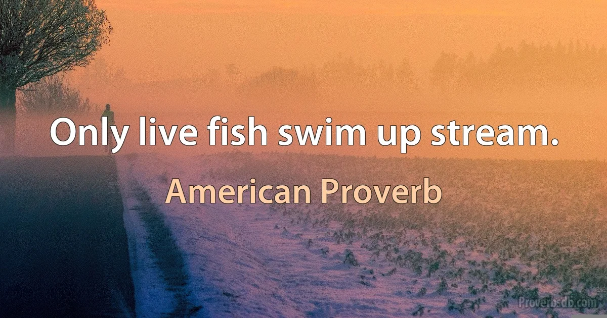 Only live fish swim up stream. (American Proverb)