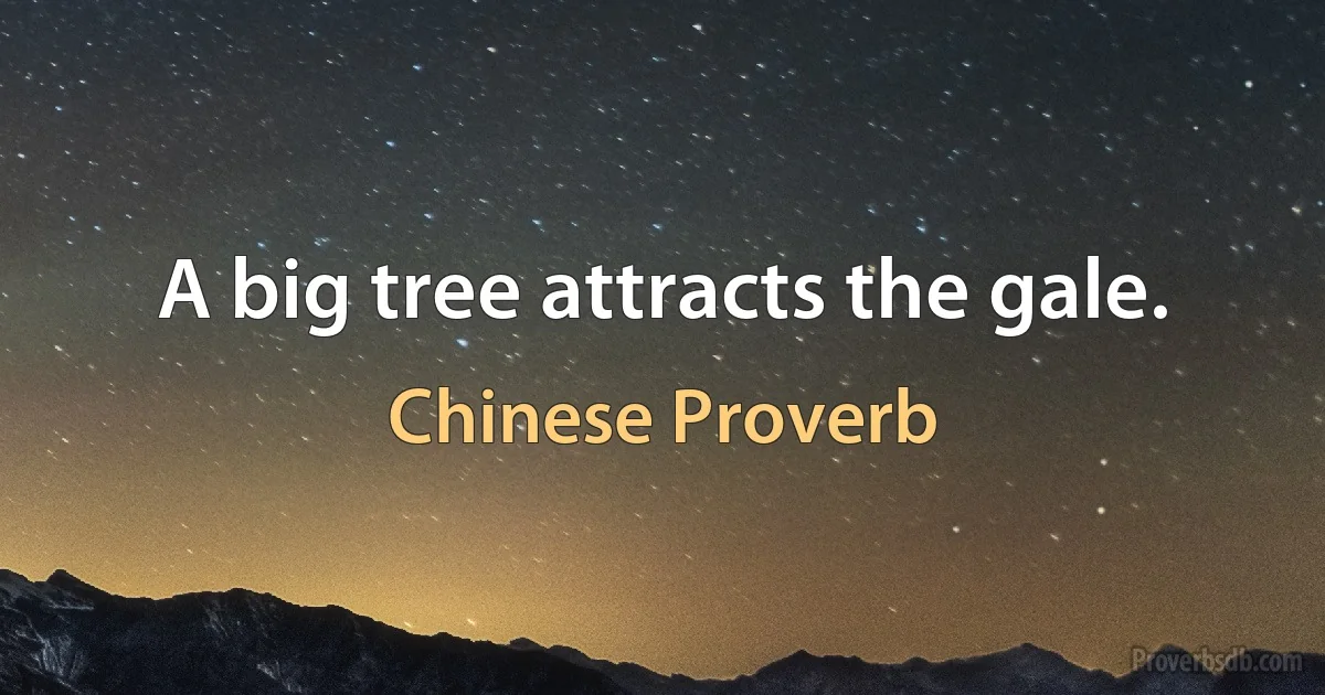 A big tree attracts the gale. (Chinese Proverb)